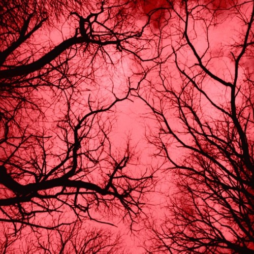 Colonna, Marraffa, Spera, Zanotti - Red Planet