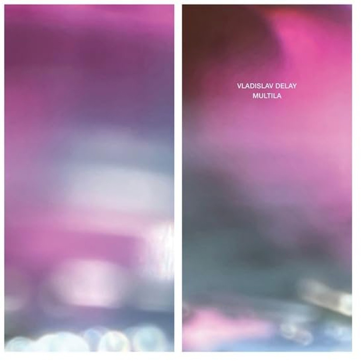 Vladislav Delay - Multila