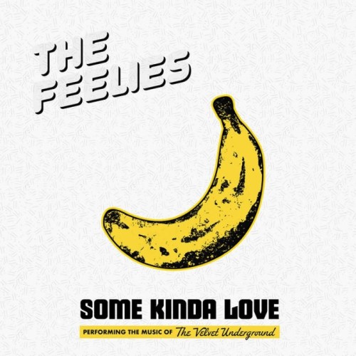 Feelies - Some Kinda Love: Performing The Music Of The Velvet Underground