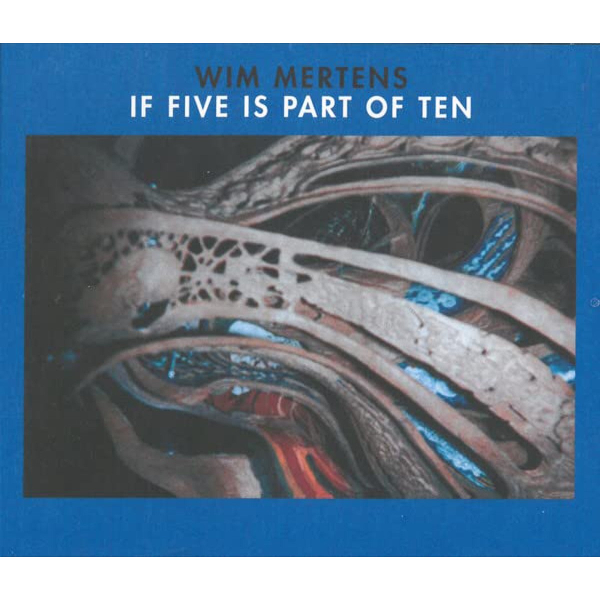 Wim Mertens - If Five Is Part Of Ten
