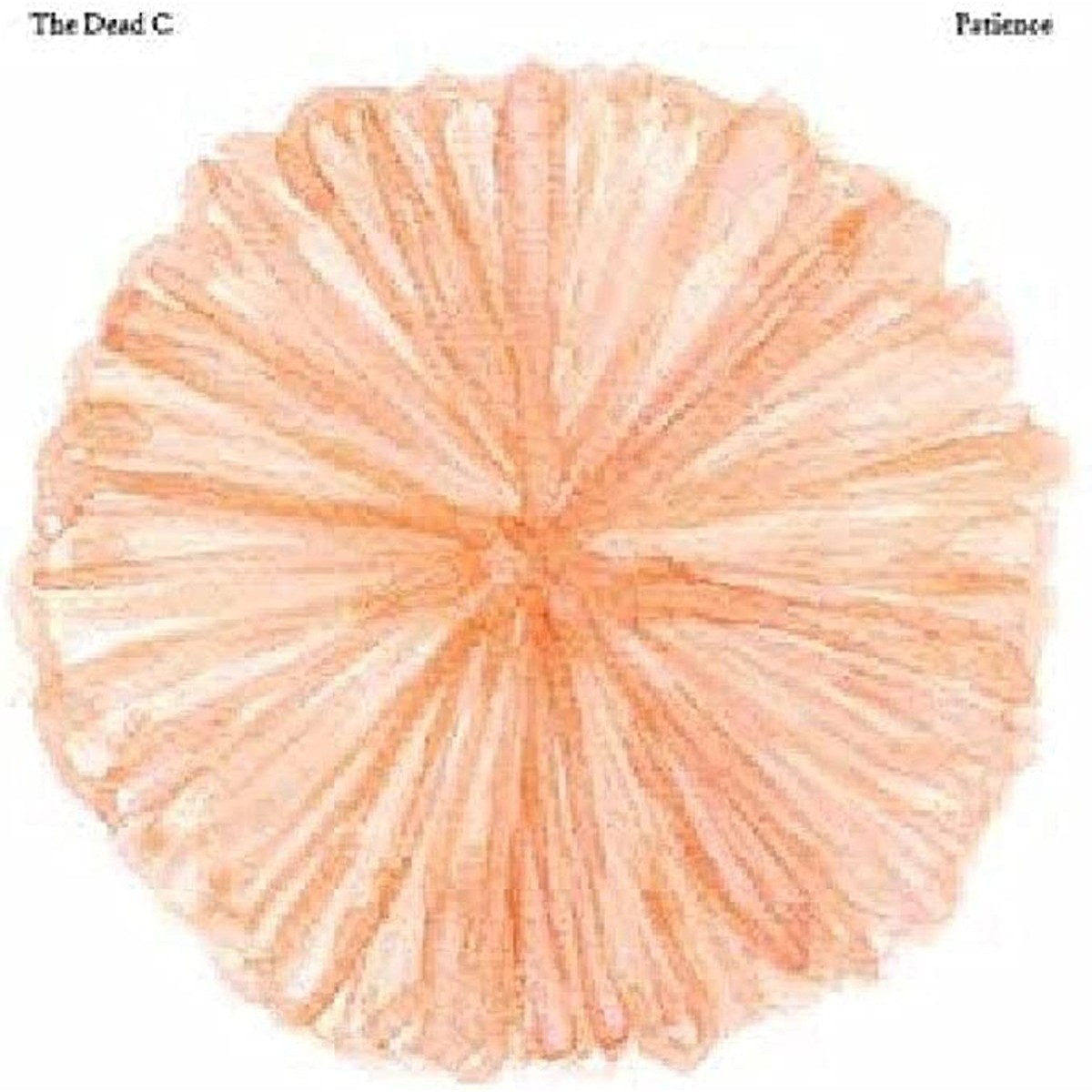 Dead C - Patience