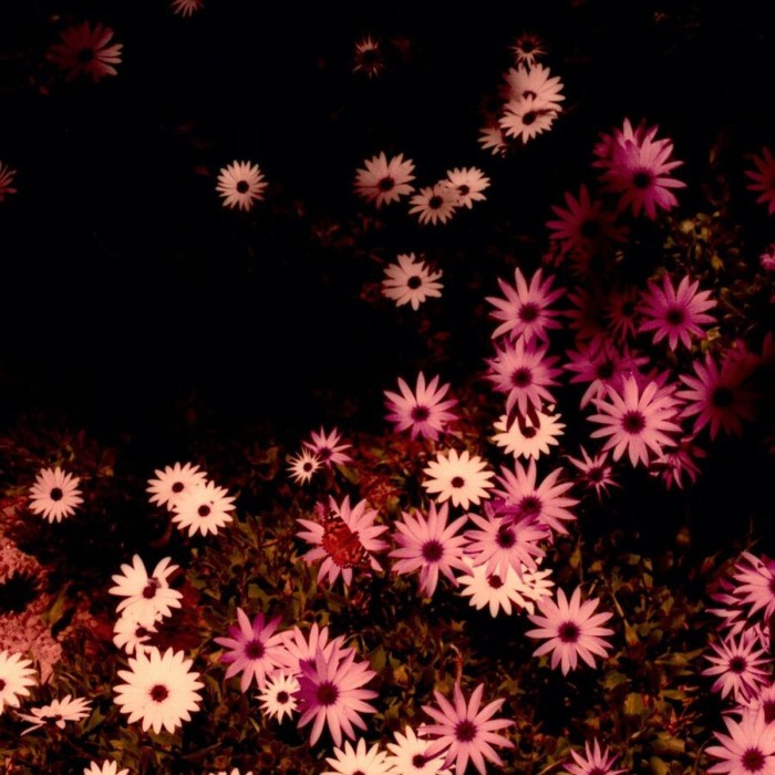 Rat Columns - Babydoll (Cream Vinyl)