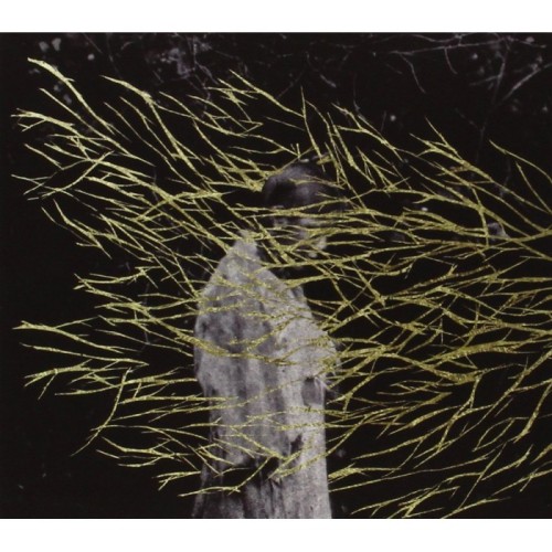 Forest Swords - Engravings