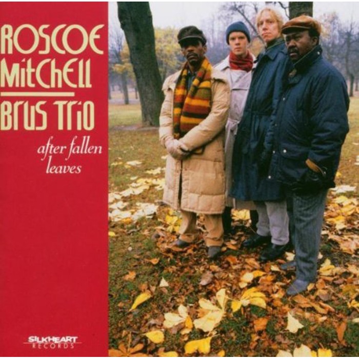 Roscoe Mitchell & Brus Trio - After Fallen Leaves
