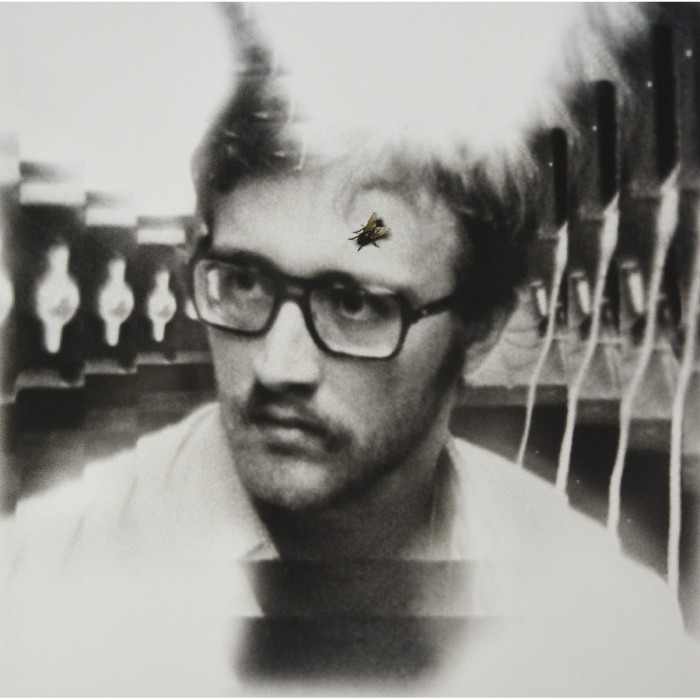 Damaged Bug - Bug On Yonkers