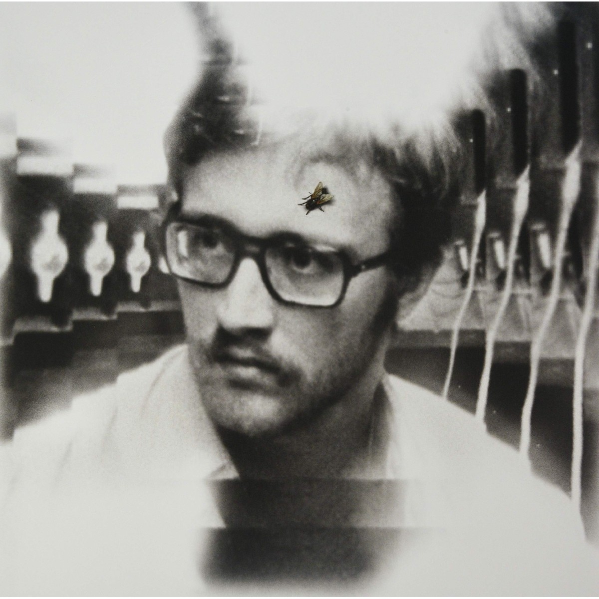 Damaged Bug - Bug On Yonkers