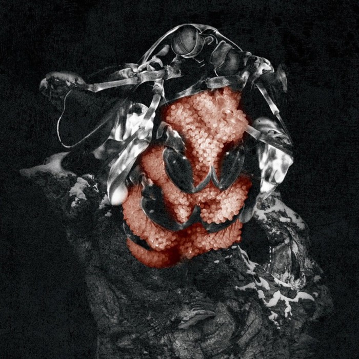 My Lonely Sea - Gloom