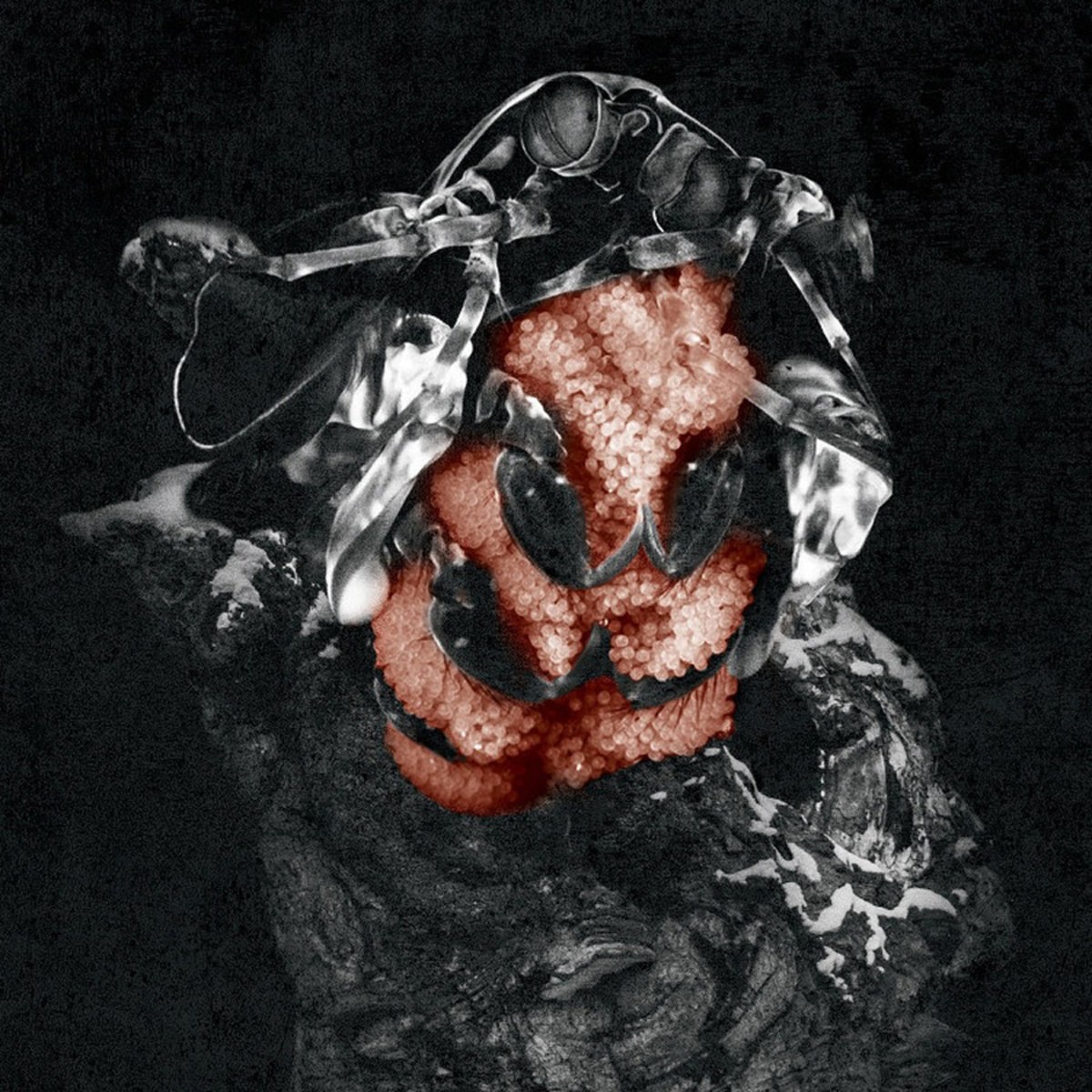 My Lonely Sea - Gloom