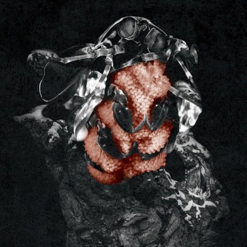 My Lonely Sea - Gloom