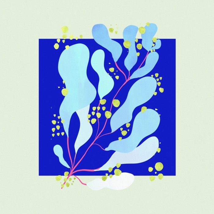 Salamanda - In Parallel