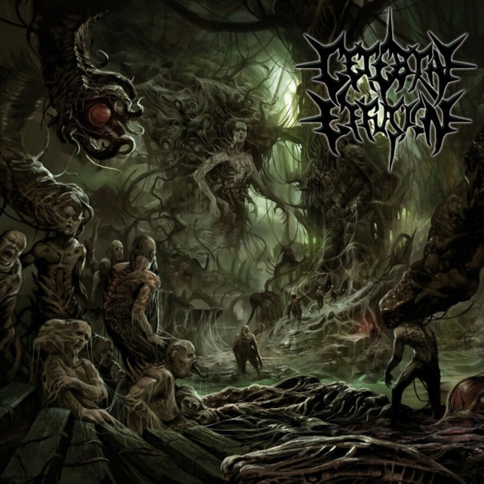 Cerebral Effusion - Ominous Flesh Discipline