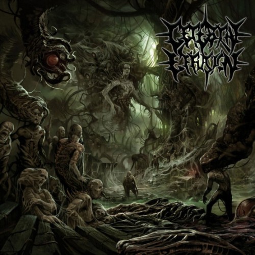 Cerebral Effusion - Ominous Flesh Discipline