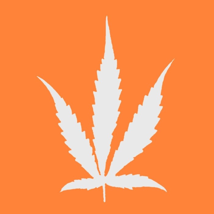 Dope Feat. Julian Cope - The Dee Dee Ramone Story