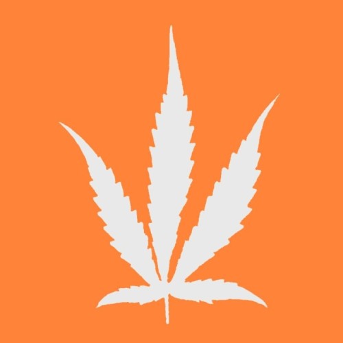 Dope Feat. Julian Cope - The Dee Dee Ramone Story